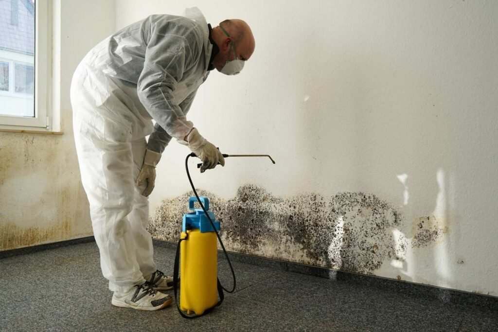 Professional mold treatment being applied by a technician from Golden Touch Restoration Specialist in New York to eliminate mold on walls.