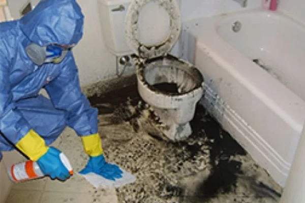 raw sewage cleanup