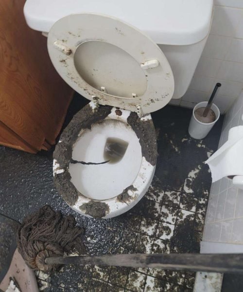 d0a3090f-4d82-4090-ba40-46dcbce37ba7-_1_