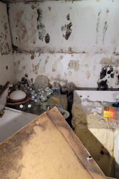 Stewart Manor, NY 88 Mold removal service by Golden Touch Restoration Specialist LLC in Elmont, NY, addressing severe mold growth in homes. This professional service is available in Elmont, Floral Park, and South Floral Park, specializing in mold remediation and prevention.